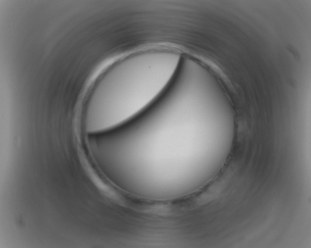 X0000114411038200910161027