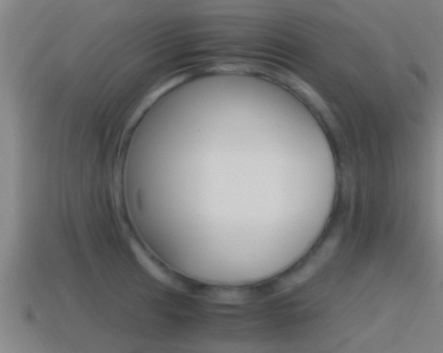X0000114411041200910161027