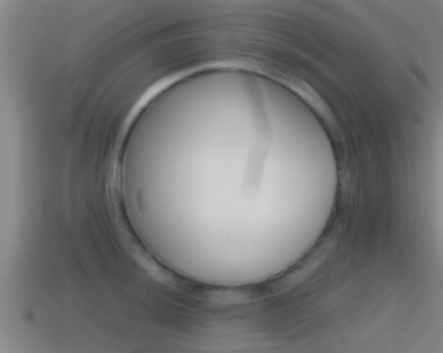 X0000114411044200910161027