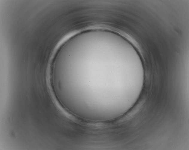 X0000114411045200910161027