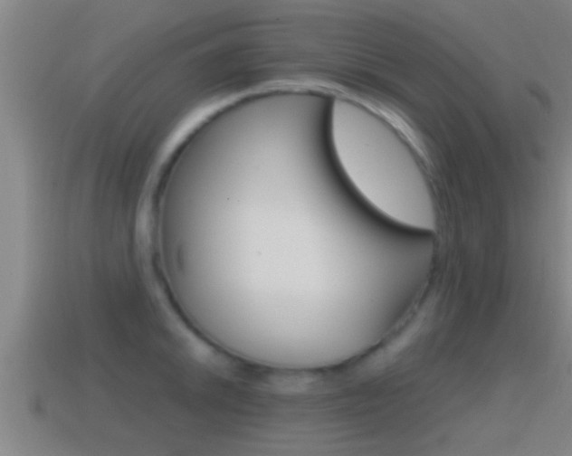 X0000114411046200910161027