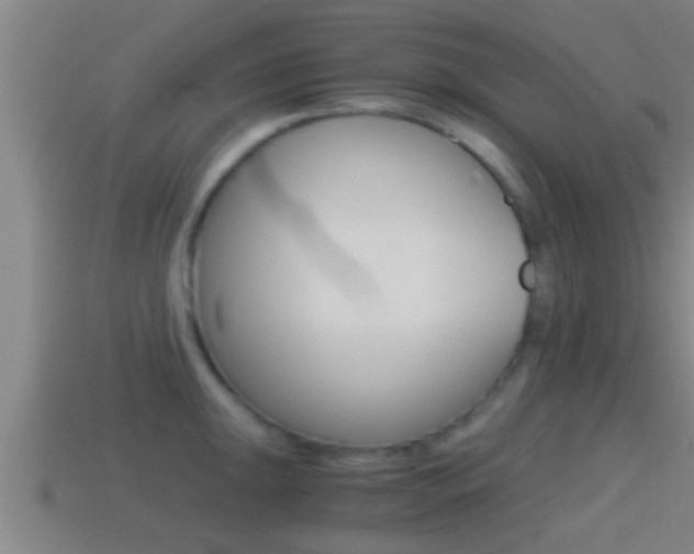 X0000114411047200910161027