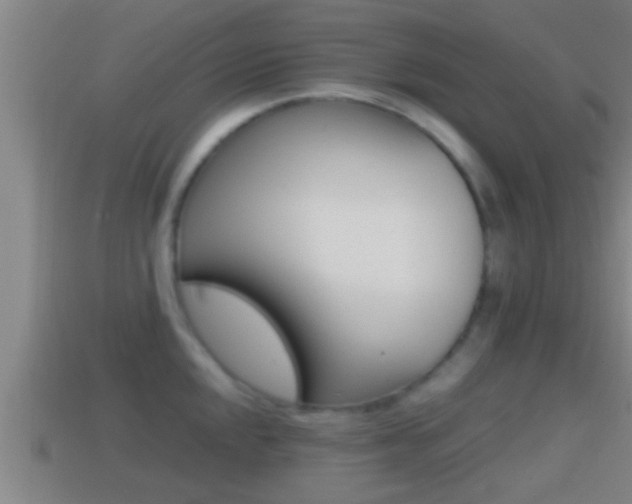 X0000114411048200910161027