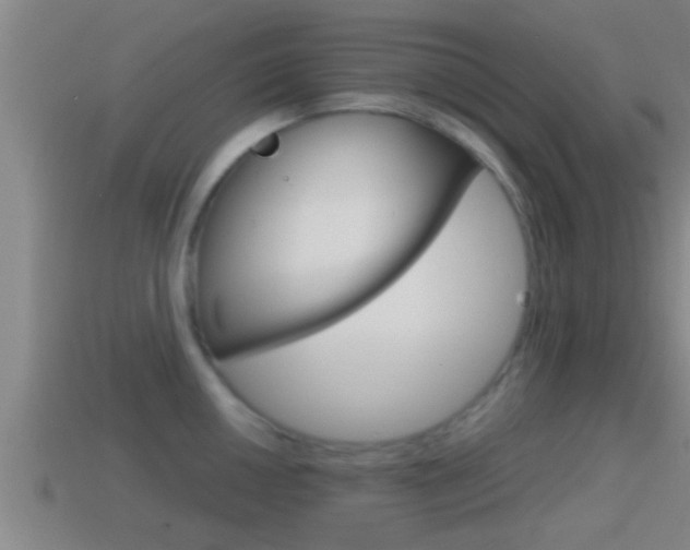 X0000114411050200910161027