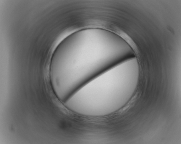 X0000114411052200910161027