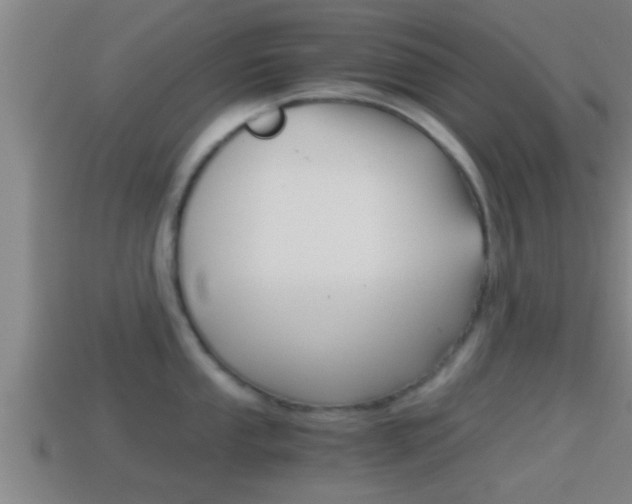 X0000114411053200910161027
