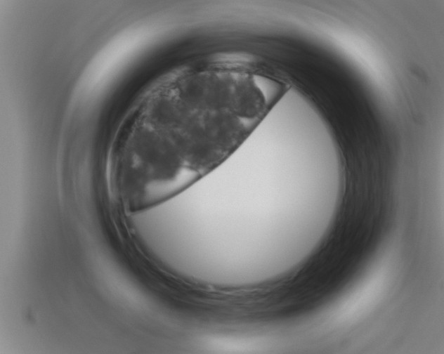 X0000114411054200910161027