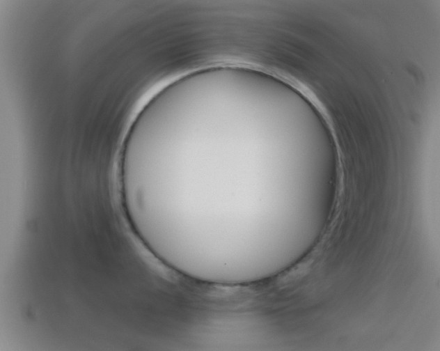 X0000114411056200910161027