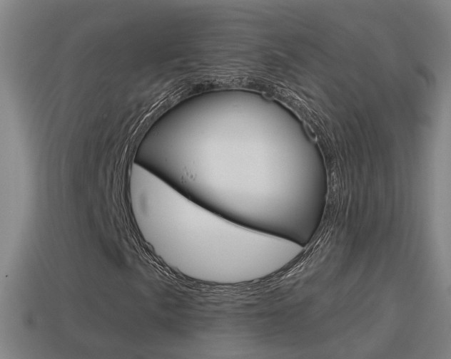 X0000114411057200910161027