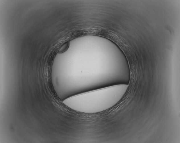 X0000114411058200910161027