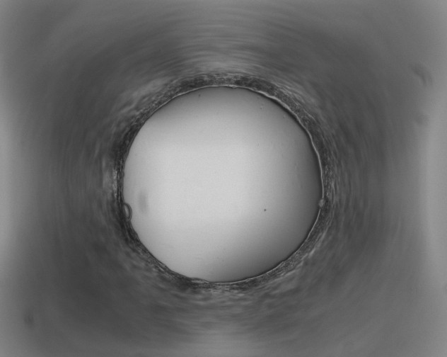 X0000114411061200910161027