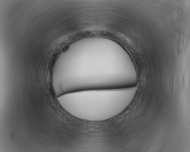 X0000114411062200910161027