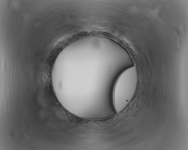 X0000114411063200910161027
