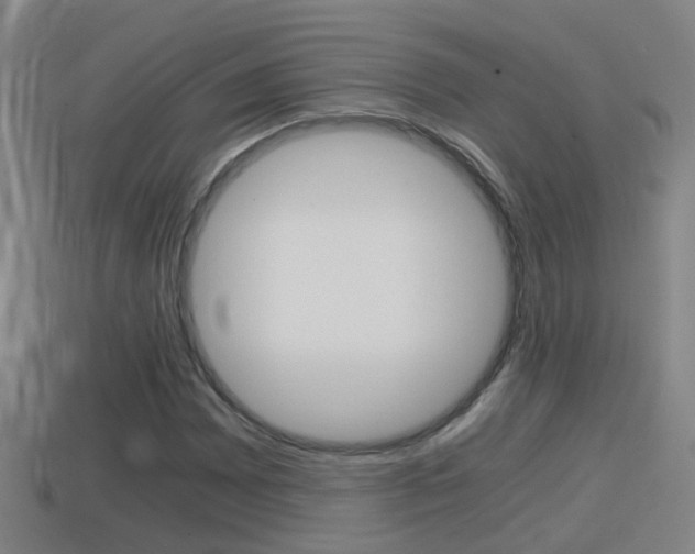 X0000114411065200910161027