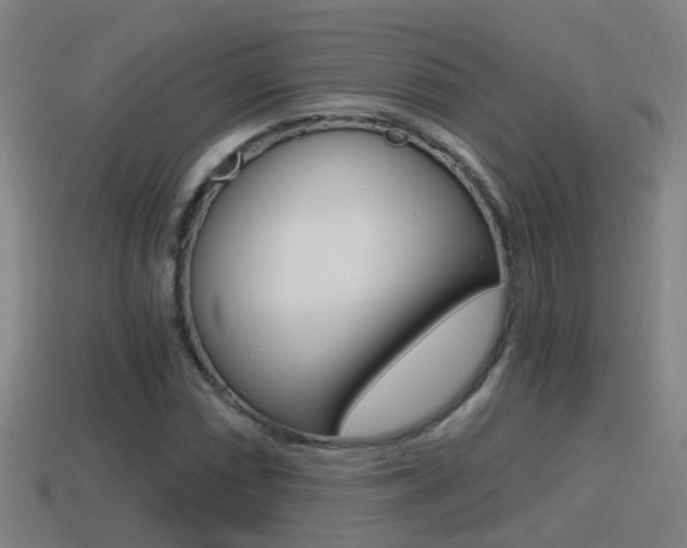 X0000114411066200910161027
