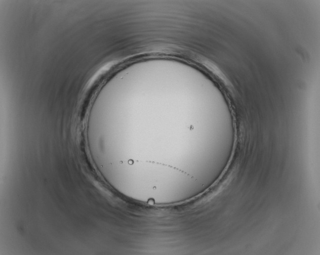 X0000114411067200910161027