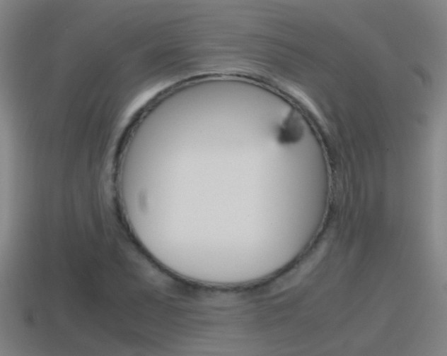 X0000114411071200910161027
