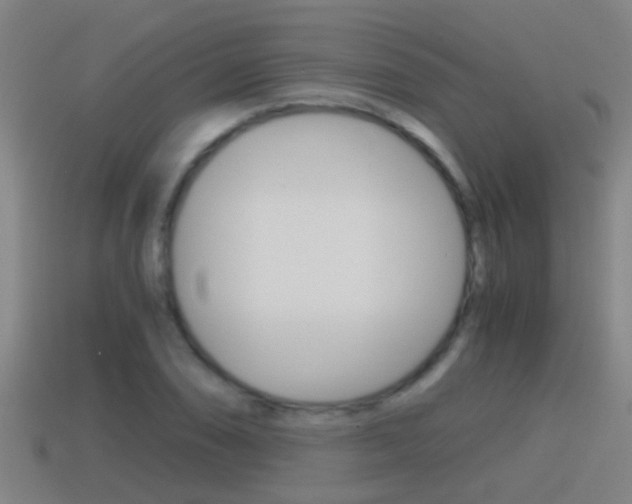 X0000114411074200910161026