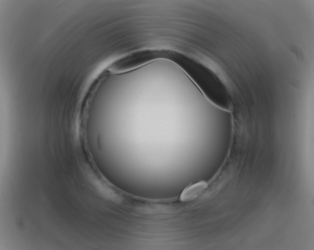X0000114411076200910161026