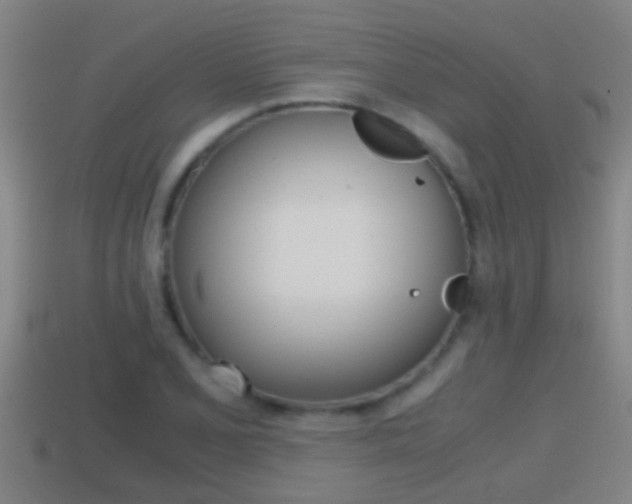 X0000114411077200910161026