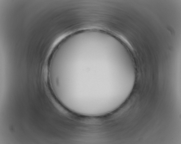 X0000114411079200910161026