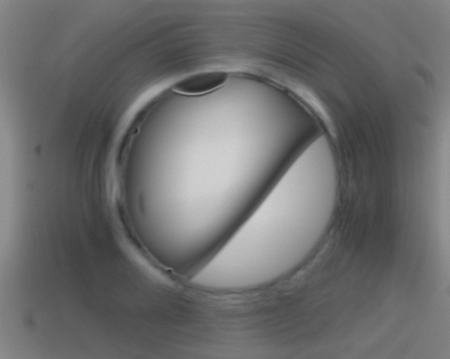 X0000114411080200910161026