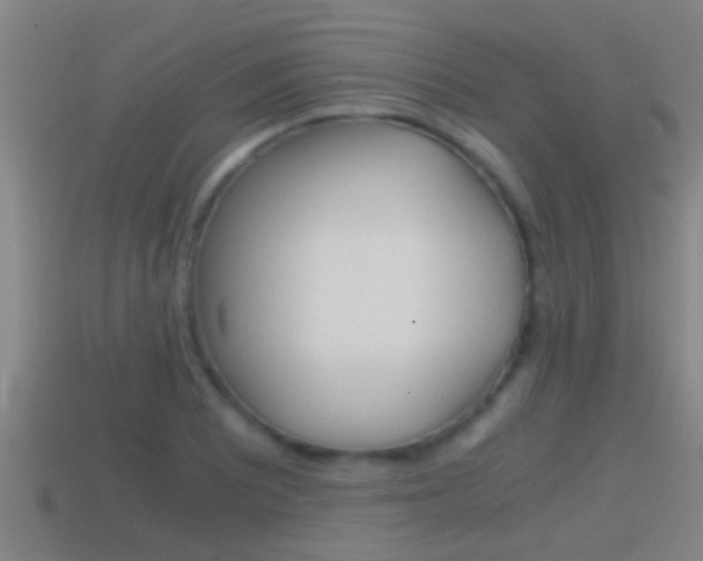 X0000114411081200910161026