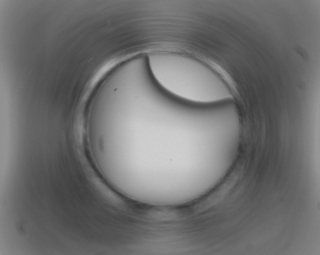 X0000114411083200910161026
