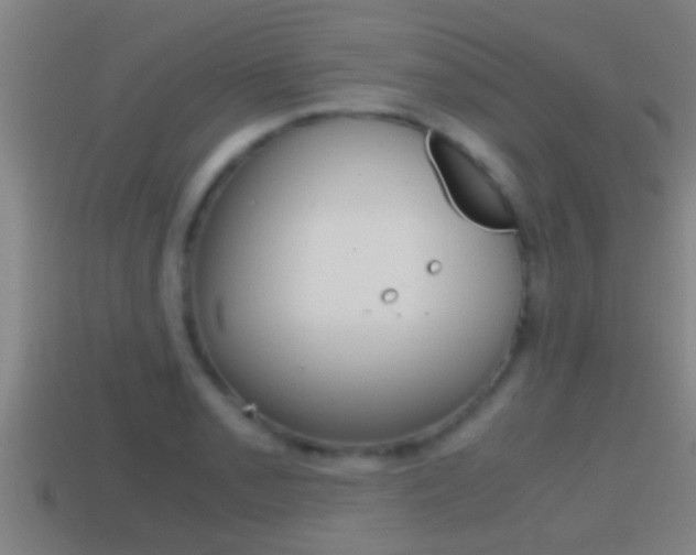 X0000114411085200910161026
