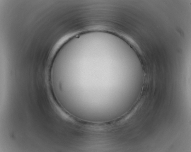 X0000114411086200910161026