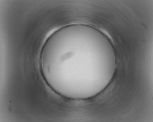 X0000114411087200910161026