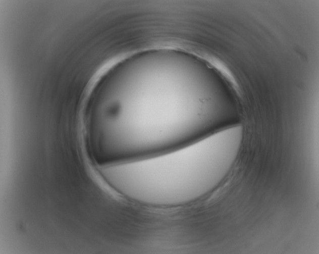 X0000114411088200910161026