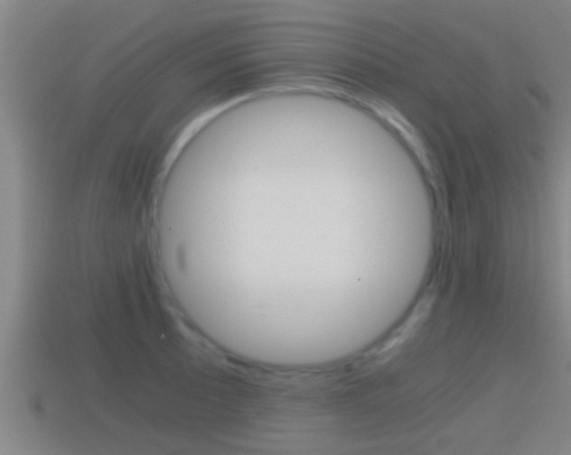 X0000114411089200910161026