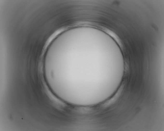 X0000114411090200910161026