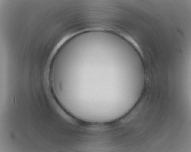 X0000114411091200910161026