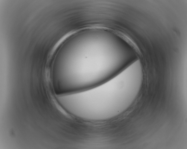 X0000114411092200910161026