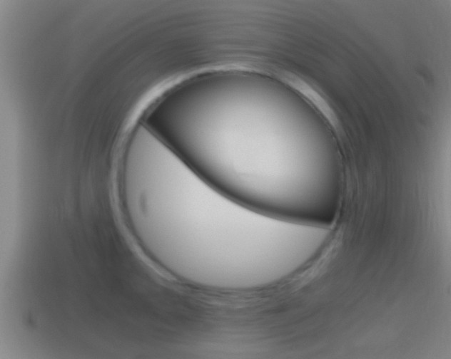X0000114411093200910161026