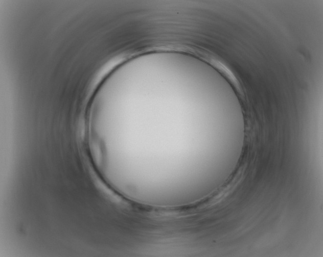 X0000114411095200910161026