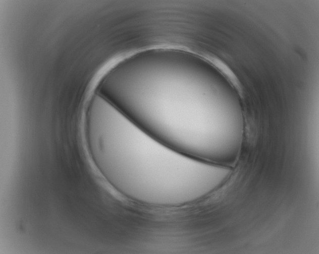 X0000114411096200910161026