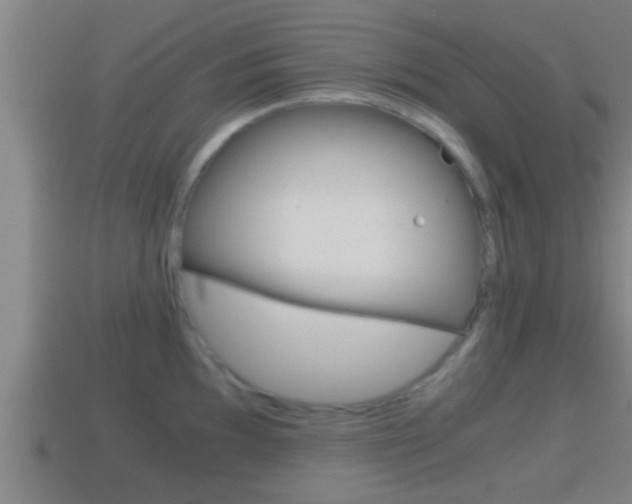 X0000114411097200910161026