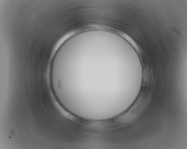 X0000114411098200910161026