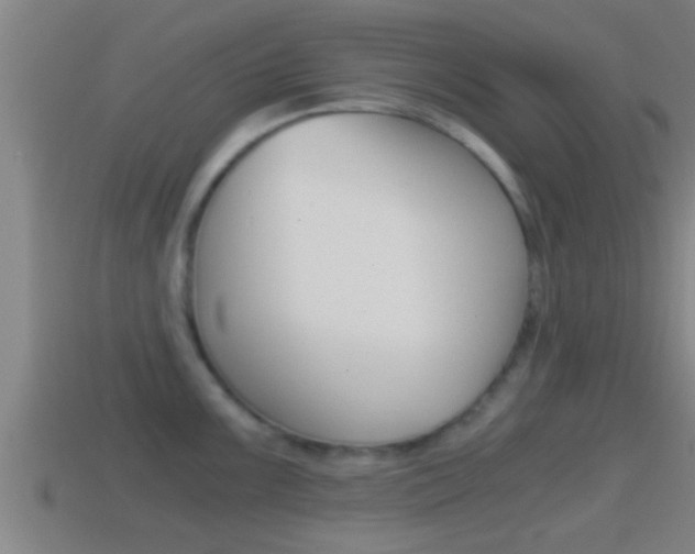 X0000114411099200910161026