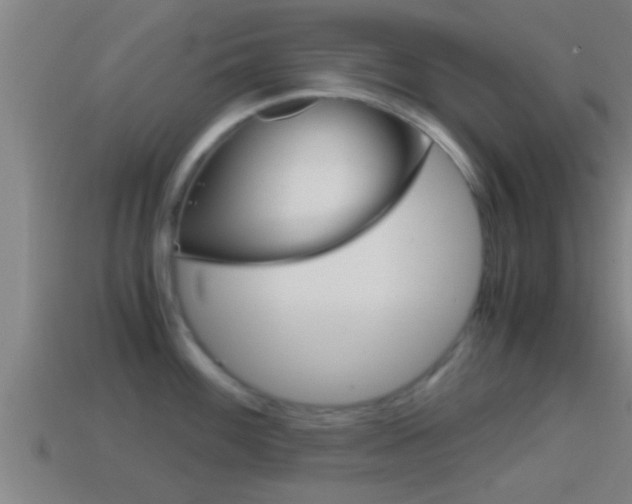 X0000114411100200910161026