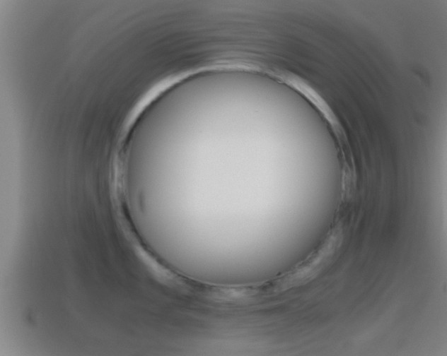 X0000114411101200910161026