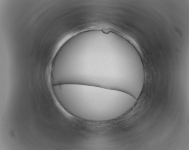 X0000114411103200910161026