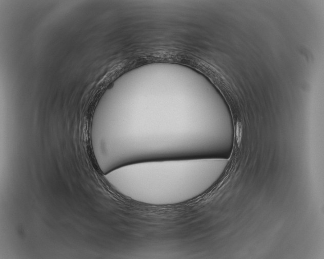X0000114411107200910161025
