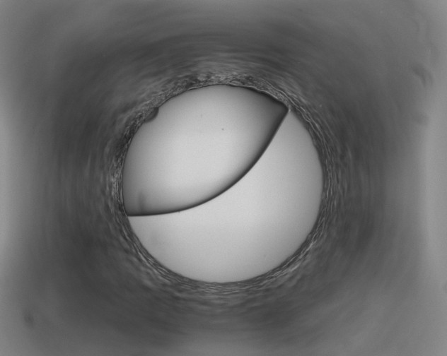 X0000114411109200910161025