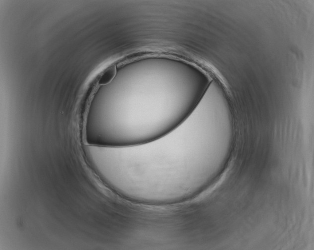 X0000114411114200910161025