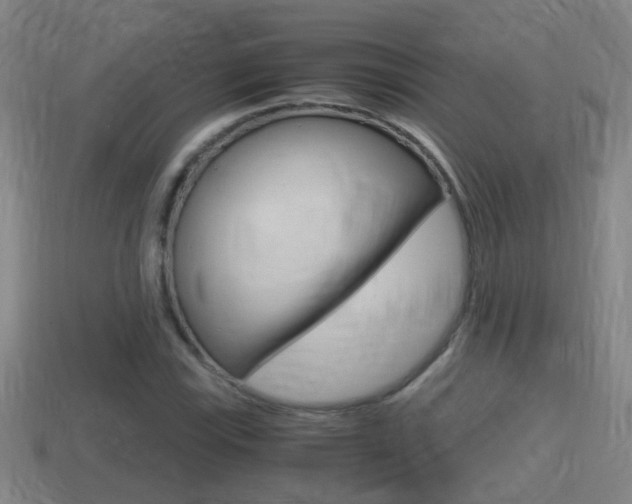 X0000114411115200910161025
