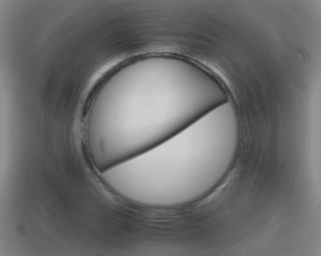 X0000114411119200910161025